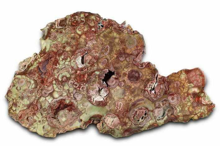 Polished Spiderweb Jasper Slab - Oregon #334882